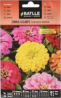 Descubre los diferentes tipos de bulbos de flores de primavera