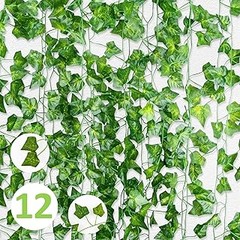 Conoce los diferentes tipos de enredaderas de hoja caduca
