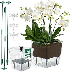 Descubre los diferentes tipos de macetas decorativas para interior