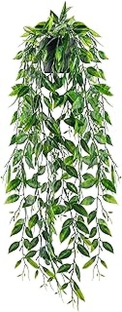 Descubre los Mejores Tipos de Plantas Colgantes para Tu Hogar