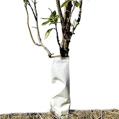 Conoce los diferentes tipos de protectores de troncos disponibles