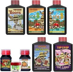 Descubre los diferentes tipos de sustratos ideales para principiantes