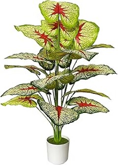 Cómo elegir el árbol ornamental adecuado según tu clima