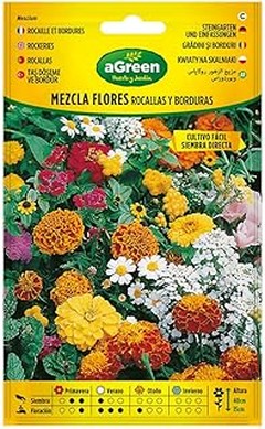 Semillas de flores para macizos según el clima