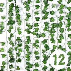 Descubre las Ventajas de las Enredaderas de Hoja Caduca en tu Jardín