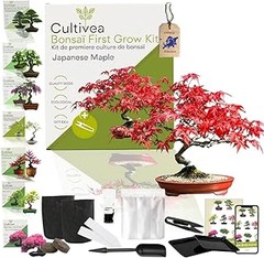 ¿Por qué elegir kits de semillas y bulbos para tu jardín?