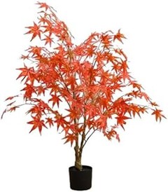 Beneficios de sembrar árboles ornamentales en otoño