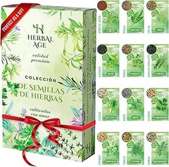Descubre las Ventajas de Incorporar Plantas de Interior en Tu Vida