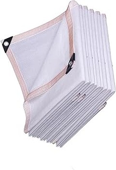 Descubre las ventajas de las plantas de sombra en tu patio