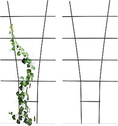 Pros y contras de utilizar enrejados y tutores en plantas trepadoras
