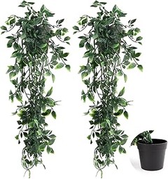 Pros y contras de usar plantas colgantes en balcones