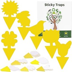 Pros y contras de utilizar trampas para moscas y mosquitos