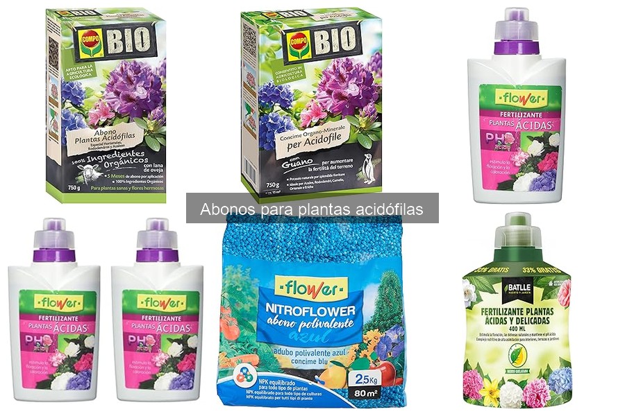 Abonos para Plantas Acidófilas: ¿Qué Son y Cómo Usarlos?