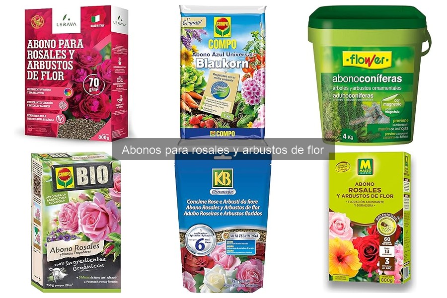 Abonos para Rosales en Cada Estación del Año