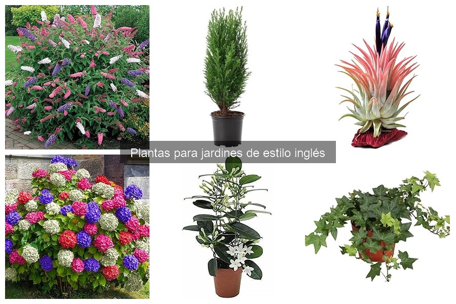 Accesorios Esenciales para un Jardín Inglés Perfecto