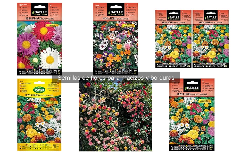 Actividades Didácticas para Sembrar Flores con Niños