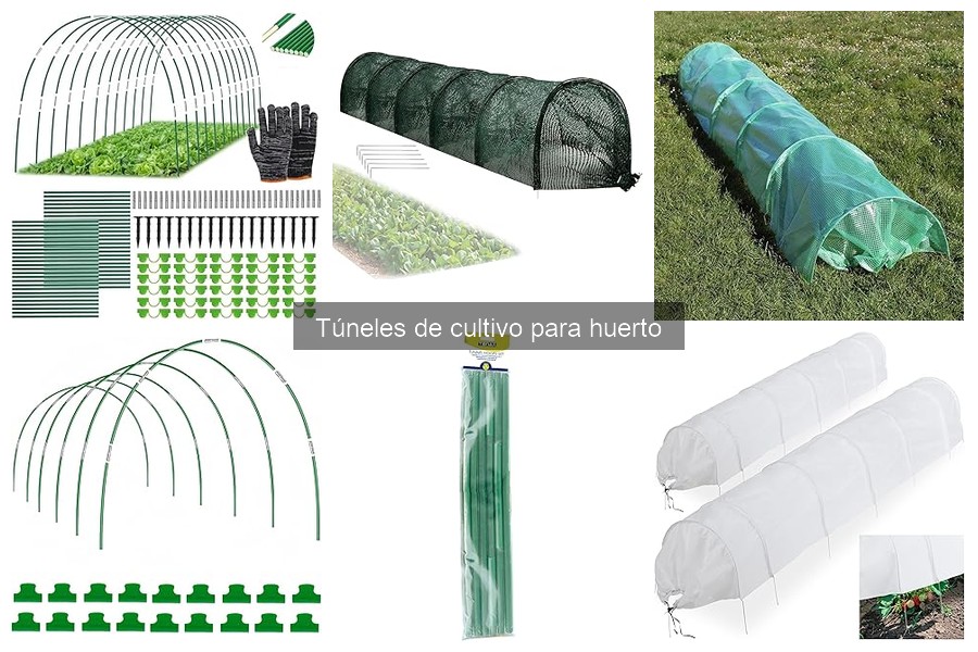 Ajustar la ventilación en túneles de cultivo: Guía práctica
