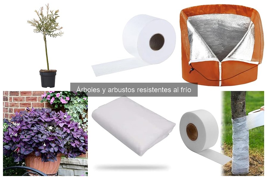 Alternativas a árboles resistentes al frío para climas severos