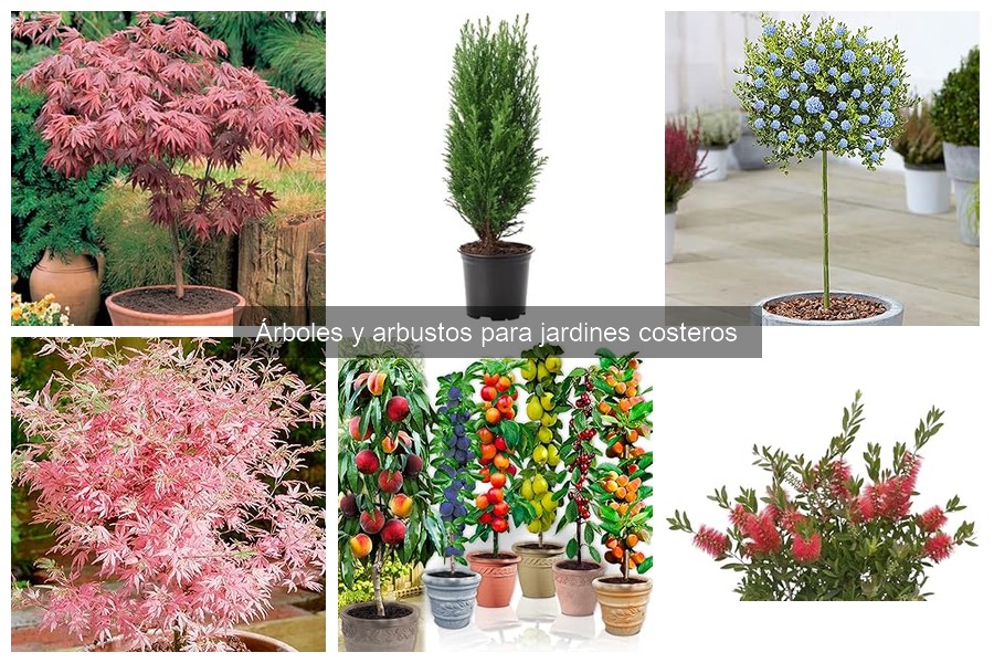 Alternativas a árboles tradicionales para jardines costeros