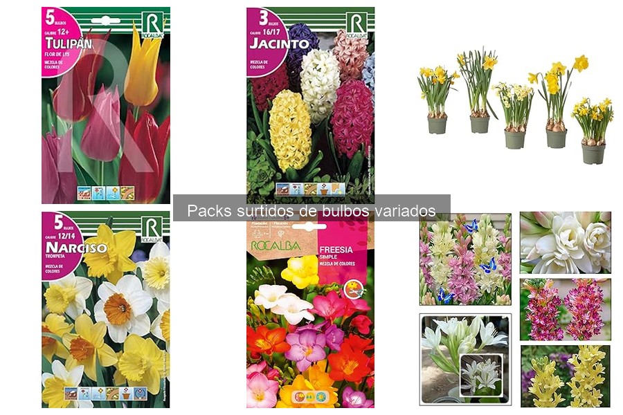 Alternativas a bulbos de flores para jardines de bajo mantenimiento