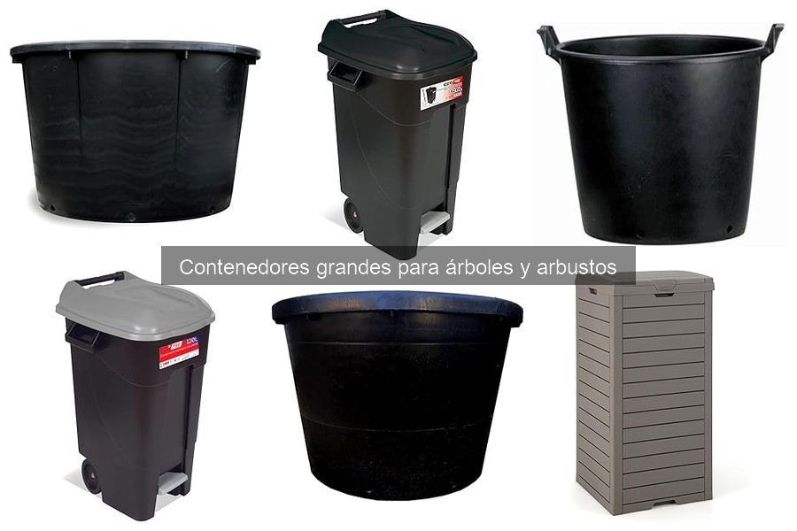 Alternativas a contenedores grandes para árboles y arbustos