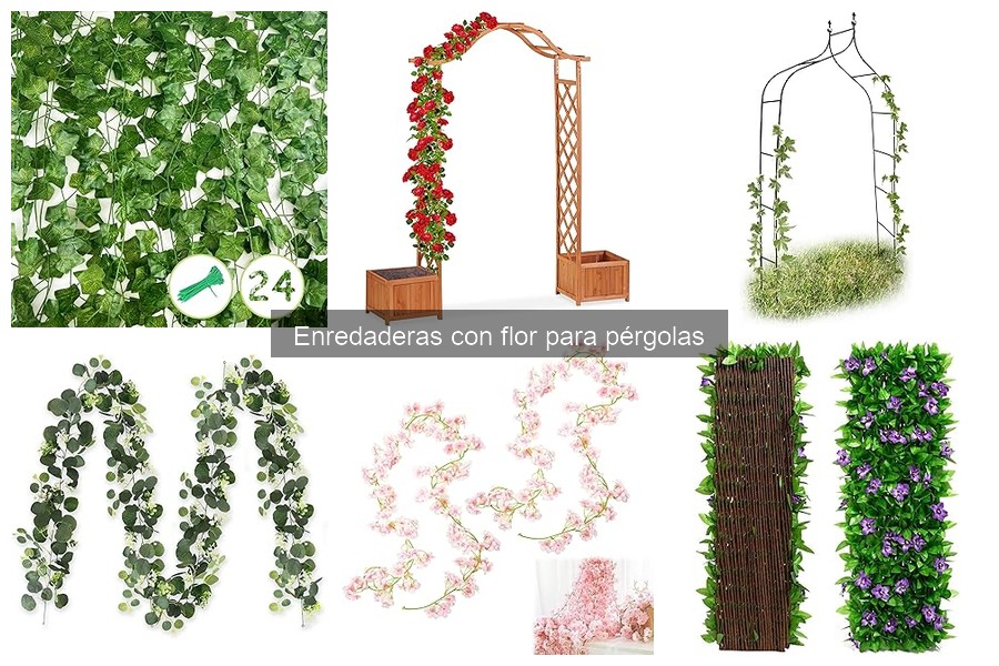 Alternativas a enredaderas con flor para pérgolas