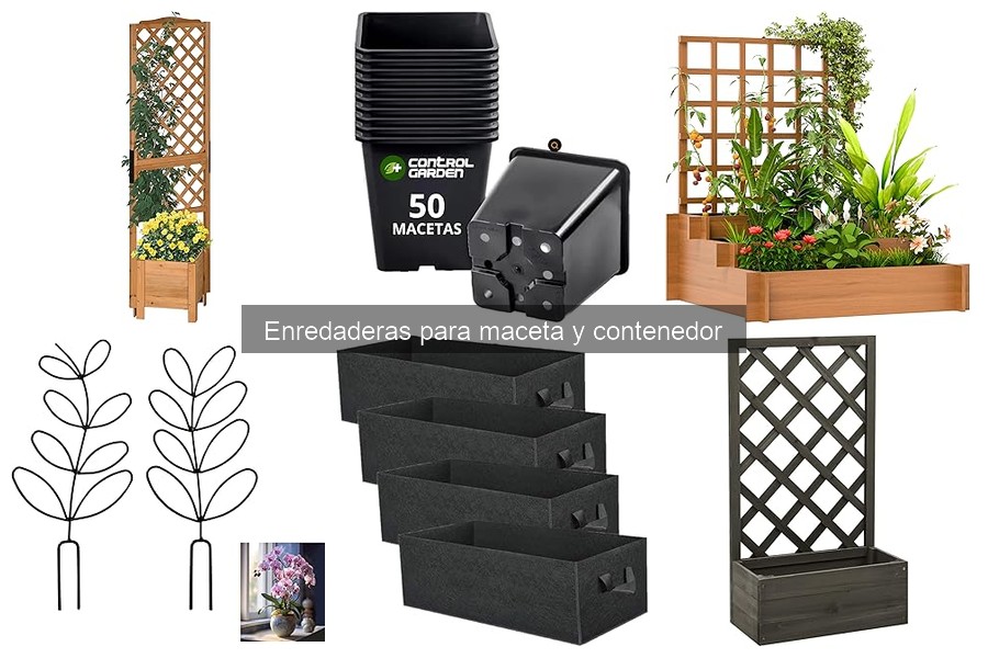 Alternativas a enredaderas para espacios reducidos en jardín