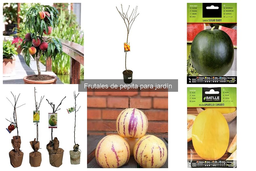 Alternativas a frutales de pepita para tu jardín