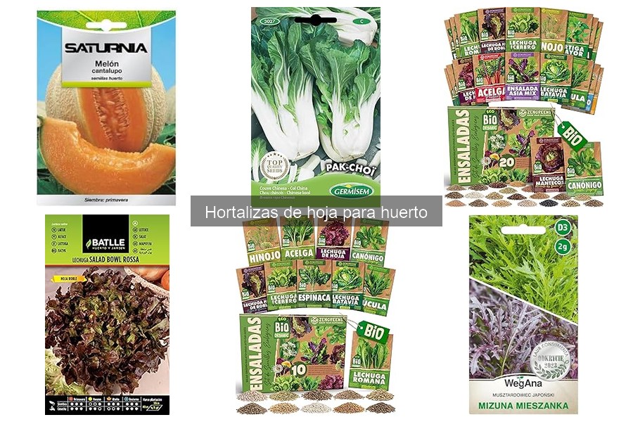 Alternativas a hortalizas de hoja para huertos pequeños