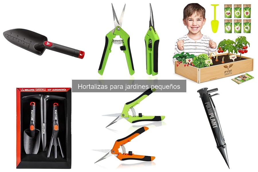 Alternativas a hortalizas tradicionales para jardines pequeños
