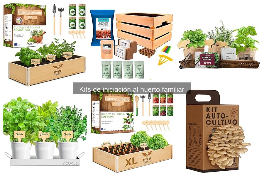 Alternativas a Kits de Iniciación para Tu Huerto Familiar