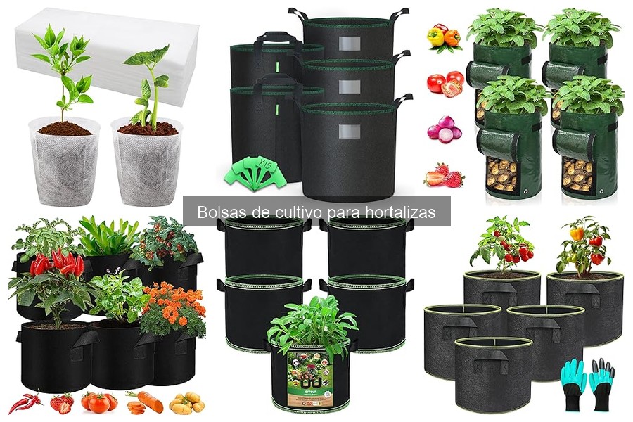 Alternativas a las bolsas de cultivo para hortalizas