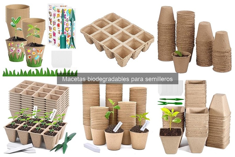 Alternativas a las macetas biodegradables para semilleros