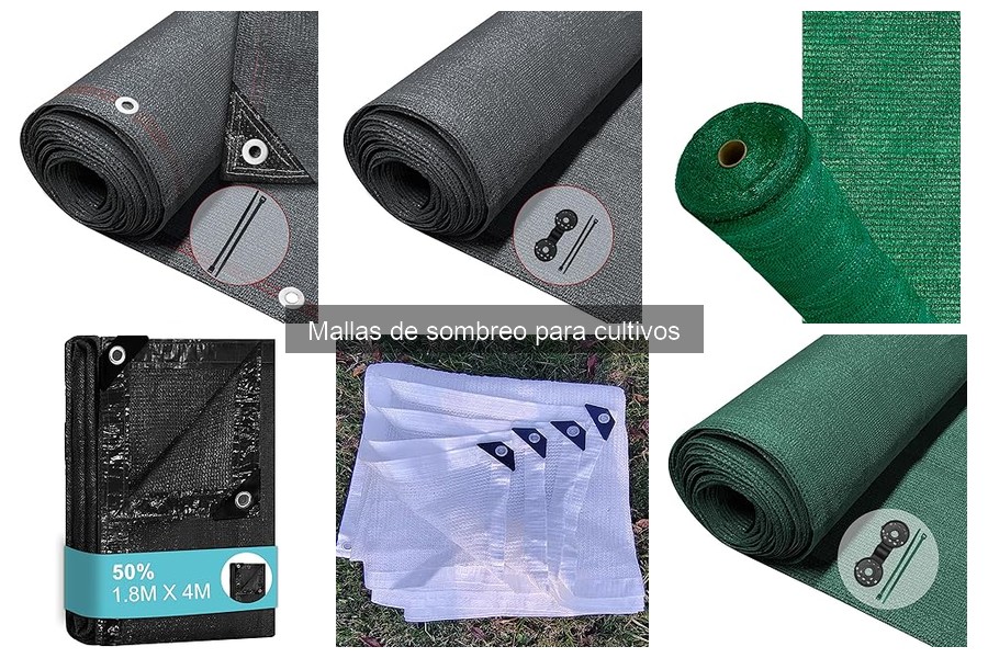 Alternativas a las mallas de sombreo para cultivos