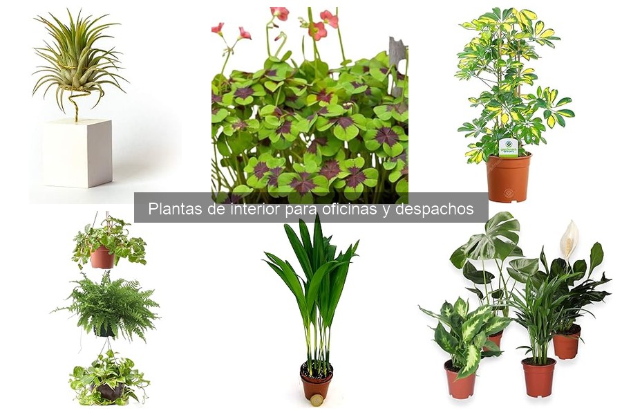 Alternativas a las Plantas de Oficina Convencionales