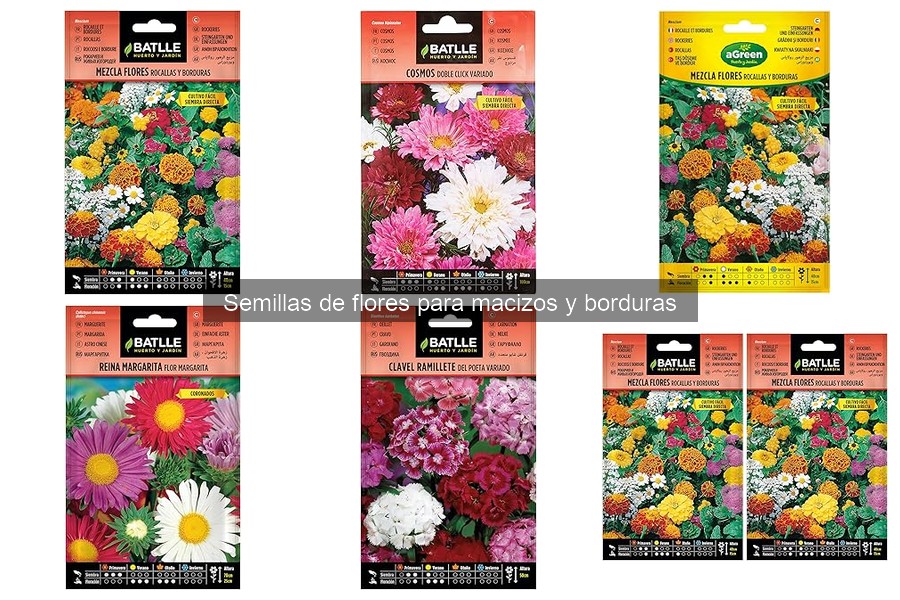 ** Alternativas a las semillas de flores para macizos y borduras