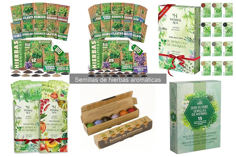 Alternativas a las semillas de hierbas aromáticas: opciones prácticas