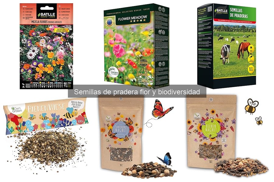 Alternativas a las semillas de pradera floral para tu jardín