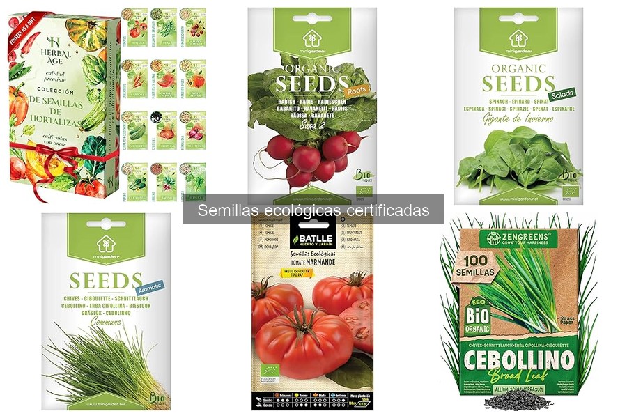 Alternativas a las semillas ecológicas para cultivo doméstico