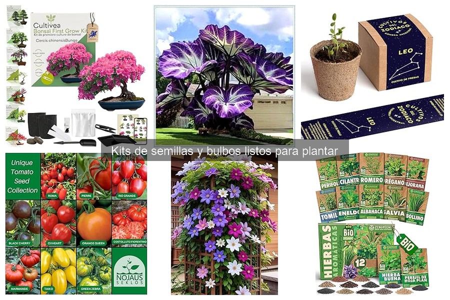 Alternativas a los kits de semillas: ¿Semillas sueltas mejor?