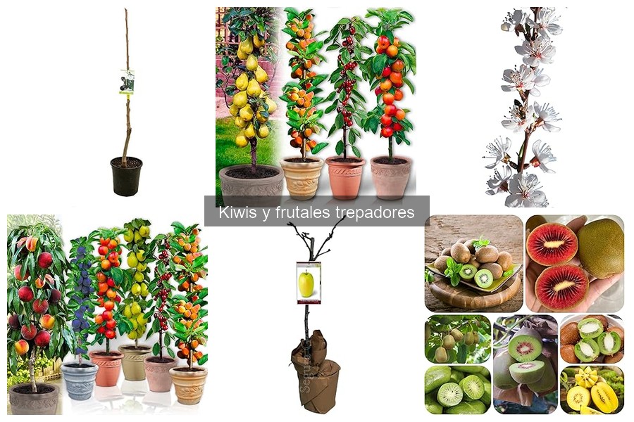 Alternativas a los kiwis: frutales ideales para espacios pequeños