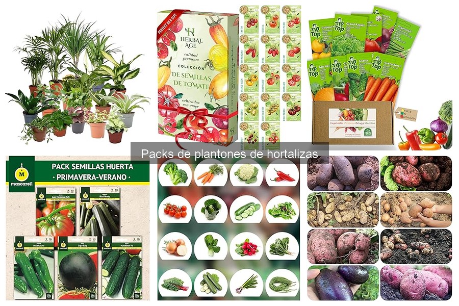 Alternativas a los packs de plantones de hortalizas