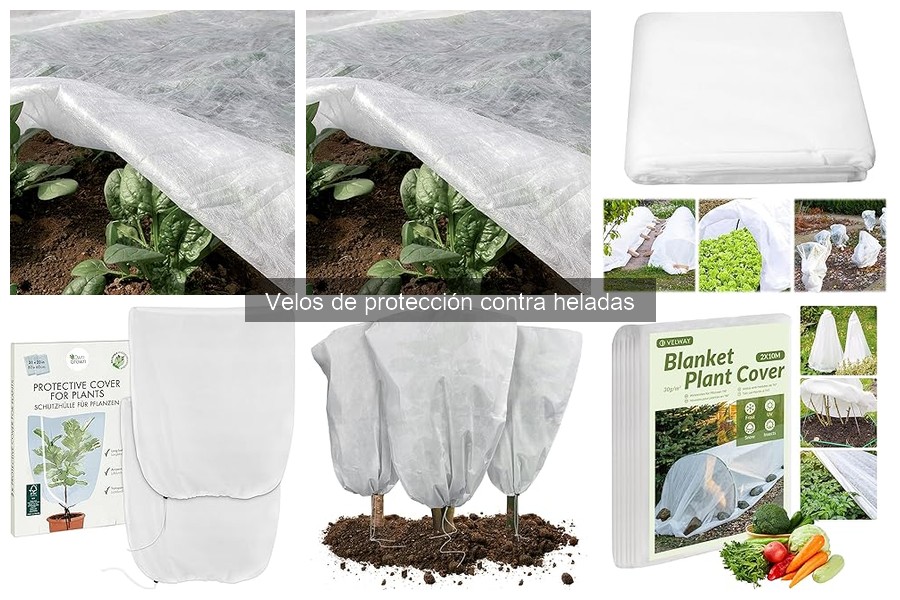 Alternativas a los velos de protección contra heladas