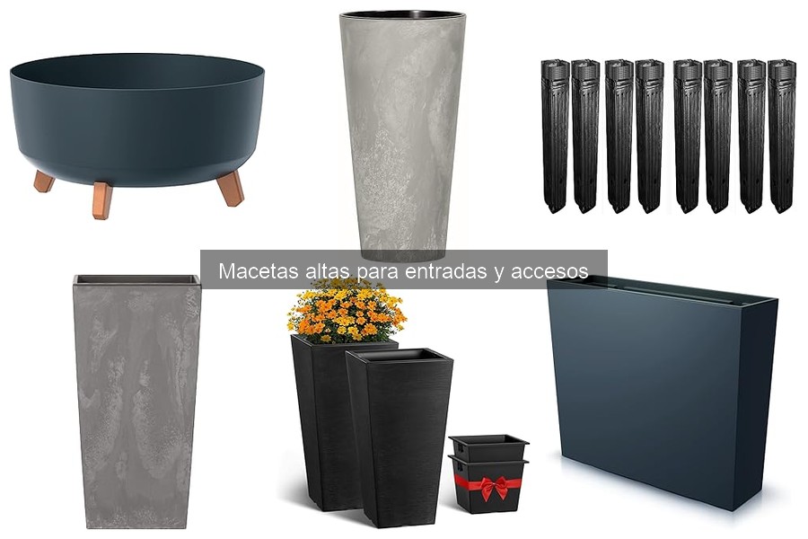 Alternativas a Macetas Altas para Entradas y Accesos