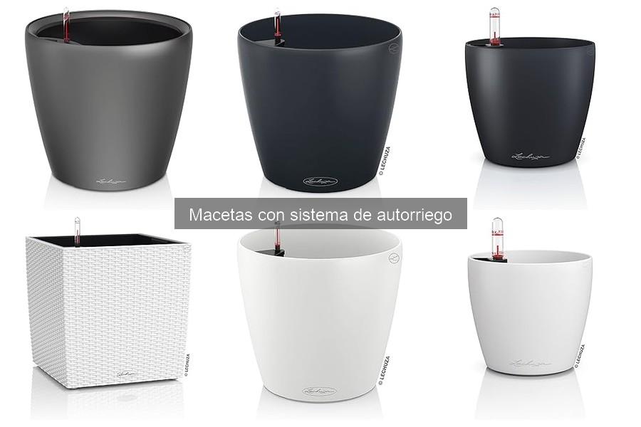 Alternativas a macetas con autorriego para tus plantas