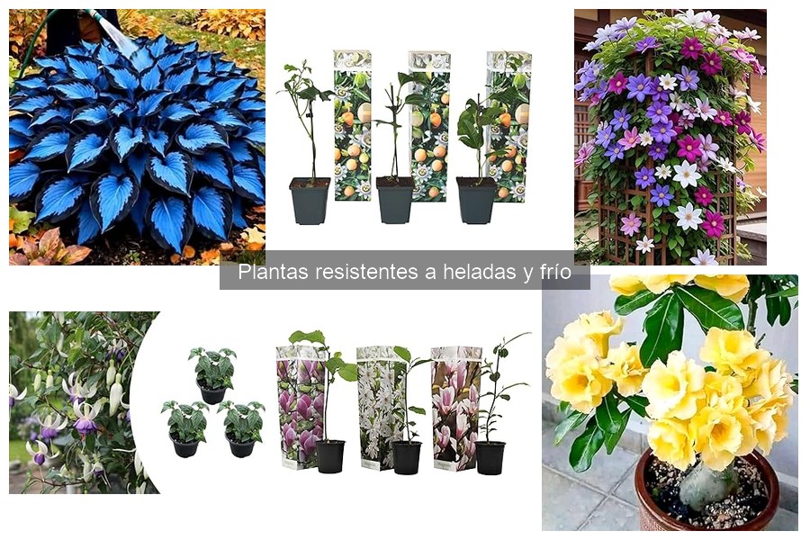 Alternativas a Plantas Resistentes a Heladas para tu Jardín