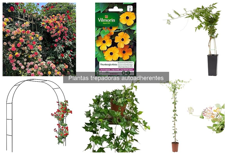 Alternativas a plantas trepadoras autoadherentes para tu jardín
