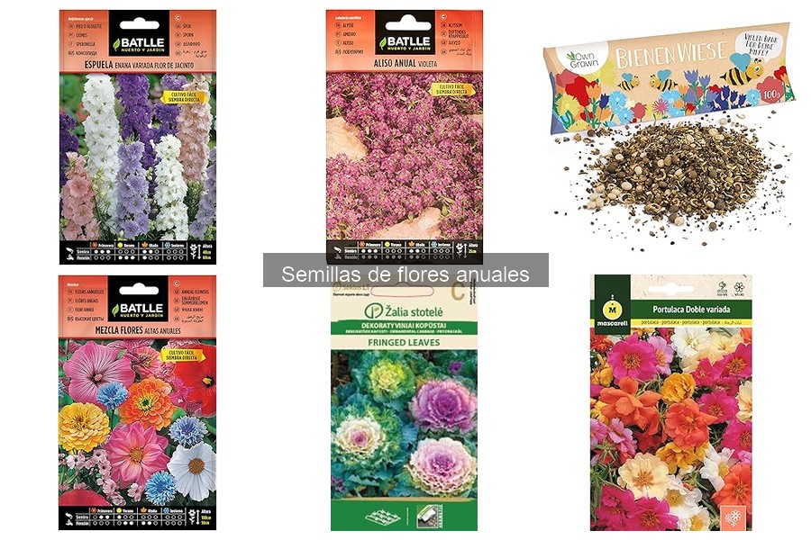 Alternativas a Semillas de Flores Anuales para Menos Mantenimiento