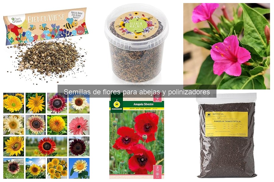 Alternativas a Semillas de Flores para Polinizadores