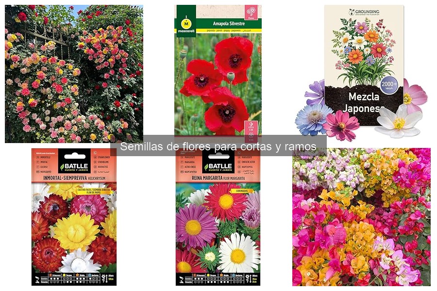 Alternativas a Semillas de Flores para Rámos de Temporada